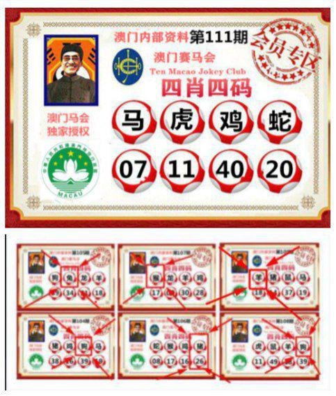澳彩精选免费资料大全	