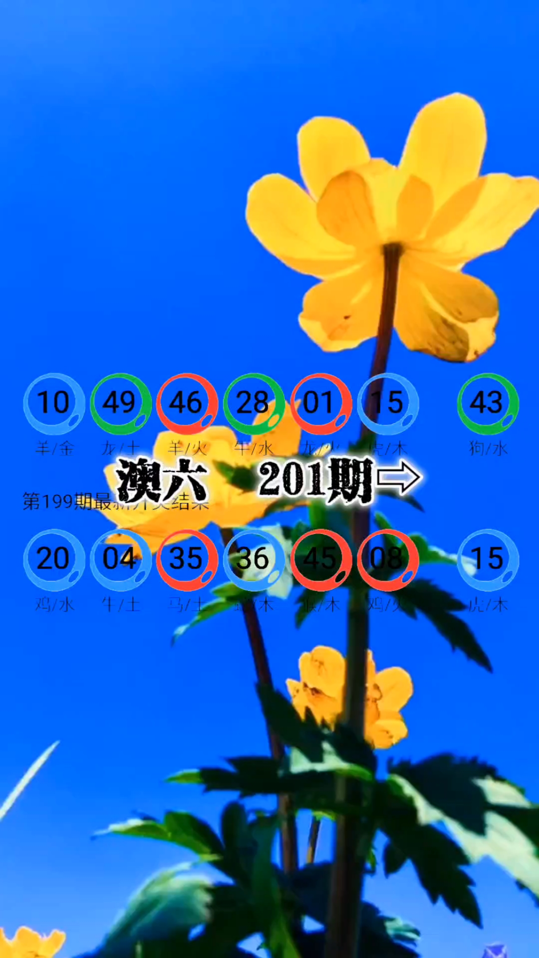 新澳今天的消息是什么